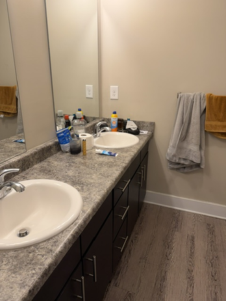 bathroom - Oasis Apartments right by Liberty and CVCC! First 3 months paid!