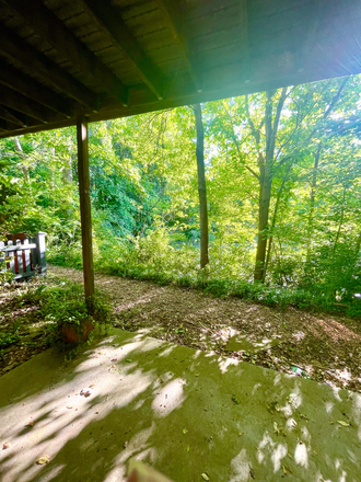 Shaded Patio - 1br/1ba on 5-acre organic farm with pond view. Apartments