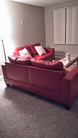 the living room - Flatmate wanted for May 2025-onwards to occupy room