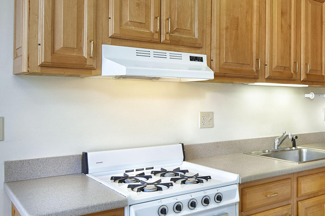 Kitchen - 19 Everett St Studio Sublet. December 13-January 24 Apartments