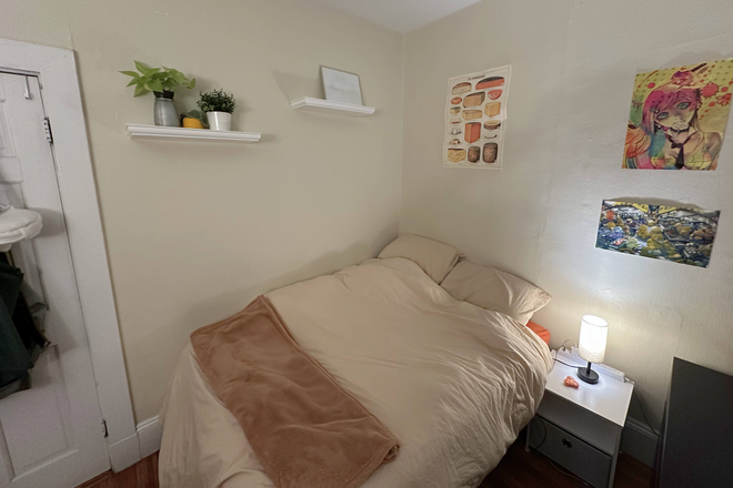 Door-side Shelves - (AVAILABLE JANUARY-AUGUST) Well-lit, fully furnished bedroom in 4 bed 2 bath apartment