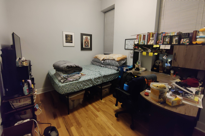 Currently the room has a full-size bed, but you may be able to fit in a queen-size bed - Looking for a sublet starting April 2026 (4/1) in Pilsen apartment!