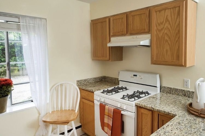 Kitchen - 1 Bed 1Bath Furnished Apartment