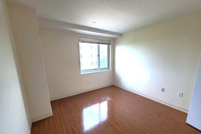 Bedroom - **One Bedroom Plus Office Next to Campus!*** Luxury Living! Or use as a 2 Bedroom! Apartments