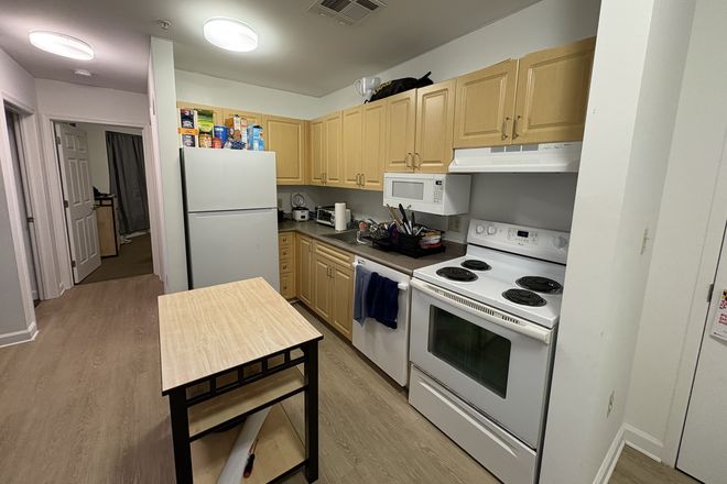 Kitchen - 1 Bedroom in South Campus Commons 7