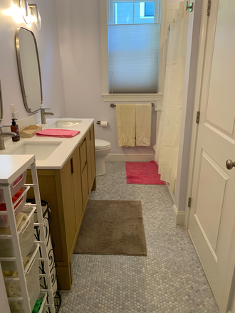 Bathroom (just renovated) - Jamaica Plain - Close proximity to the MBTA Orange Line Green Street Station- Off street parking inc Condo
