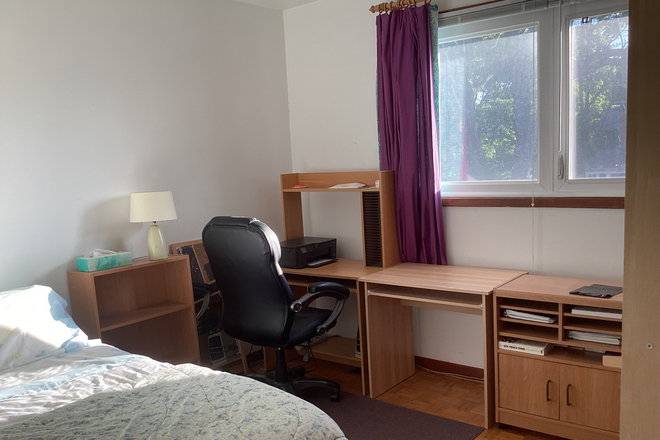 Bedroom - Professional Home for Current Academic