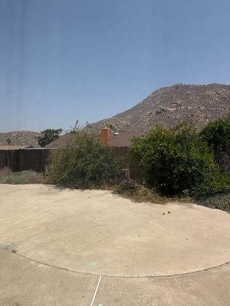 Big backyard with Lemon tree - College student house 🏡