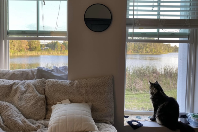 Bedroom View - Current Orlando Apartments