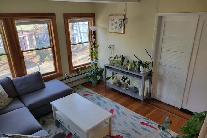 Living Room - Brookline, Coolidge Cnr, Room in a shared house, $1200 incl.utils, walking distance to BU