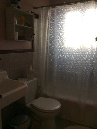 Upstairs (full bath)....there's a half bath off the rec room downstairs - Private home shared space