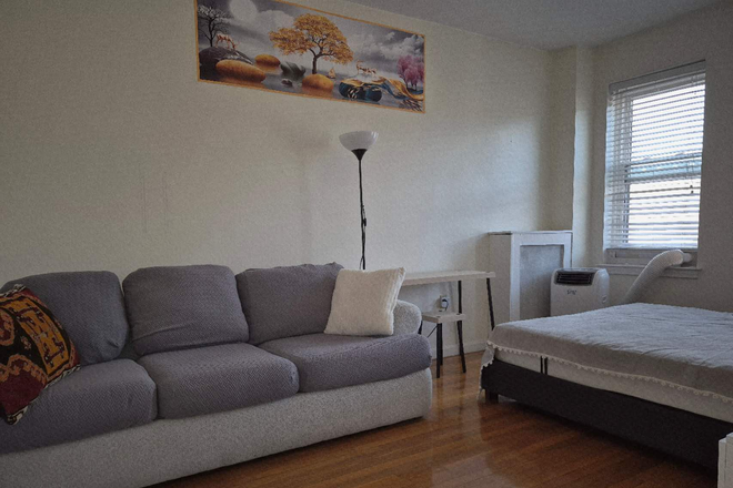 Spacious Room Plus Big Walk-in Closet at $1,395/month - Big Furnished Room in Heart of Allston nr BU, T to NEU, Incl Heat/HW/Gas, In-Unit Laundry, No Fee