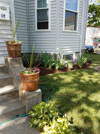 Beautiful grounds - Furnished room available September 1st, Beautiful home, Walk to campus, Respectful/Quiet Rmates