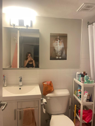 Bathroom - 1 Furnished Bedroom in 2-Bedroom Apartment in Annex Neighbourhood, all utilities incl