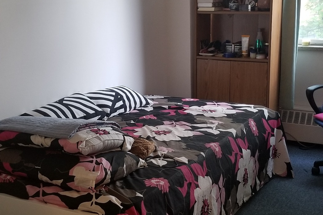 smaller room - 222 Elm apartment close to campus