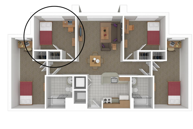 Window, Desk, Dresser, Bedframe, Closet - South Campus Commons 2 - Girls only, super close to campus, cheap rent