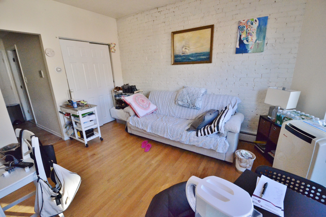 living room - Beautiful and Modern 1Bed on Symphony Rd Avail 9/1/26 Apartments