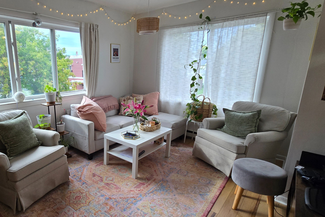 large living room lost of natural light - June 2027 Walk to UVM. Walk to everything. Parking, Washer & Dryer. Condo