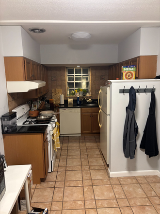 Kitchen - Lake shore appartment Apartments