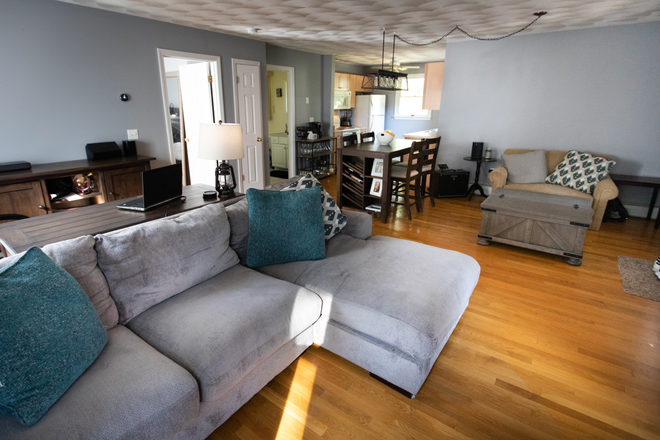 Living room - Cute fully furnished apartment