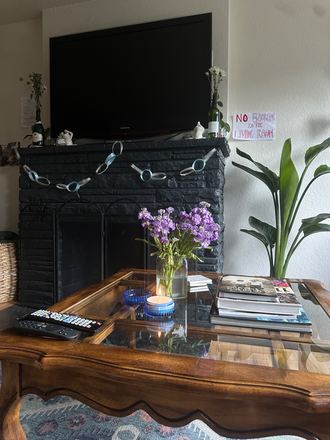 Living room - Spring Bedroom Sublease on the Hill! Townhome