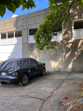 Parking - Harvard / Central Sq 1 Bed in a Managed Courtyard Building w/Parking Condo