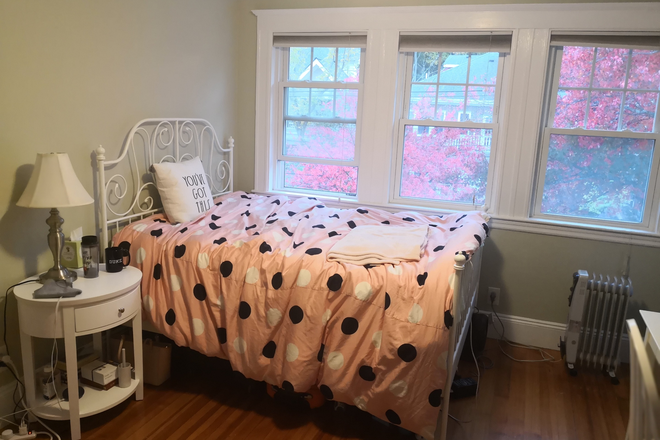 Bedroom $1100. - Female Grad/Prof, Seek Female Roommate for Great Apartment