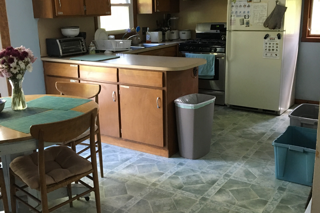 Clean kitchen with careful recycling - Clean, sunny rooms in  South Amherst House