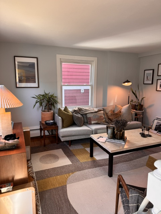 living room - Split level,  2 bedroom, 1 bath on the East Side just steps away from Miriam Hos Duplex