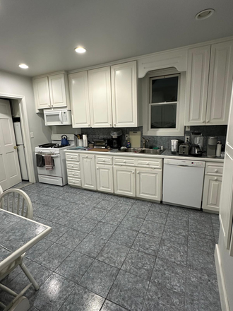 Kitchen - 1 Bedroom apartment for lease (For female undergrad or graduate university student) close to station