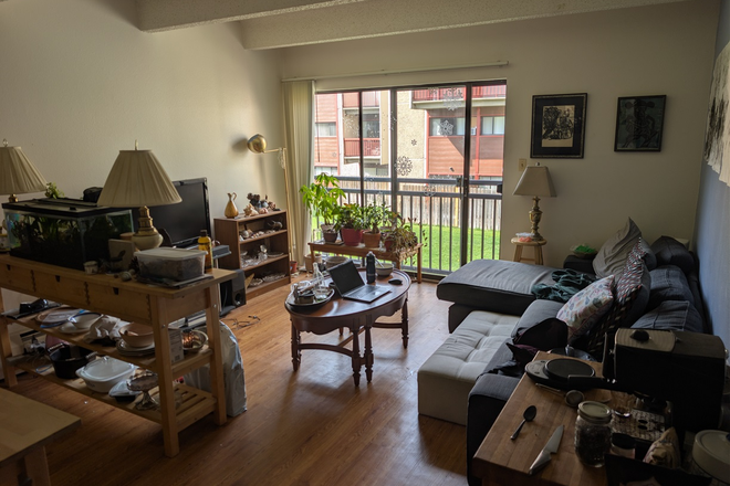 Living Room view 1; I have some existing furniture but happy to redecorate the space together! - Newton Court, International-Friendly, Affordable Grad Housing (OnCampus but sufficiently distanced)