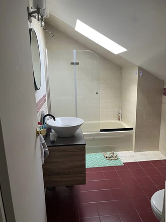 Bathroom - Private, Furnished Room in Shared Apartment