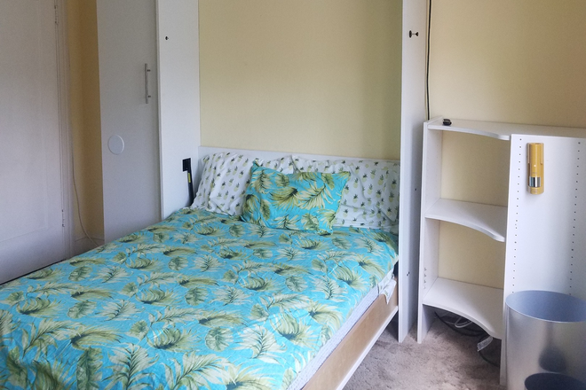 Bed can fold up for more floor space - Large Private Bedroom, Free Utilities, Free Laundry Use, Free WiFi