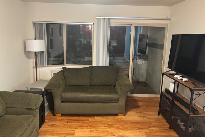 another couch in living room. Balcony is behind the couch! - Beautiful sublet on the Hill! Private Bath and air conditioner in the room! Apartments
