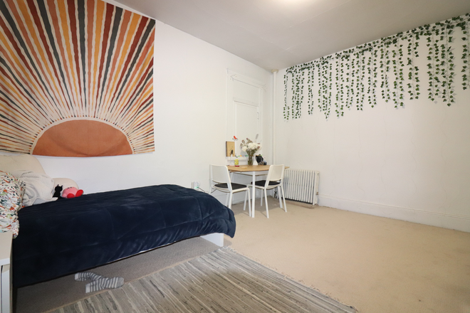 living/sleeping area - Convenient Fenway studio for 9/1 - NO FEE! Apartments