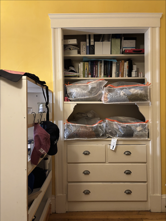 Storage space in the room, I'll clean my things out before you move in. - Large Room in Furnished 3BR House | $1,100/mo | 2 Cats in Home