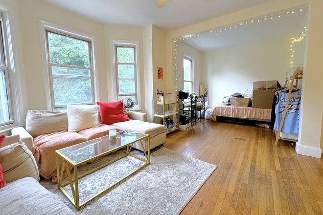 Livingroom - Freeman St Brookline 4 Bed 1 Bath Condo