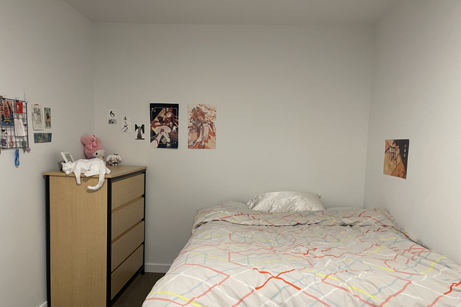Dresser and bed - Lease Transfer for South Campus Commons 1 Apartments