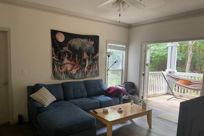Living Room - one bedroom available, quiet apartment close to campus