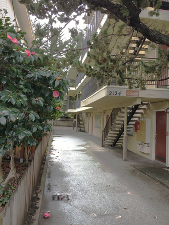 Building - 3 Bed 2 Bath apartment, located in South Berkeley Area