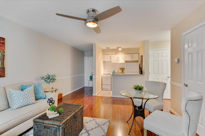 living room / kitchen - 513 12 St. NE #3 rental
