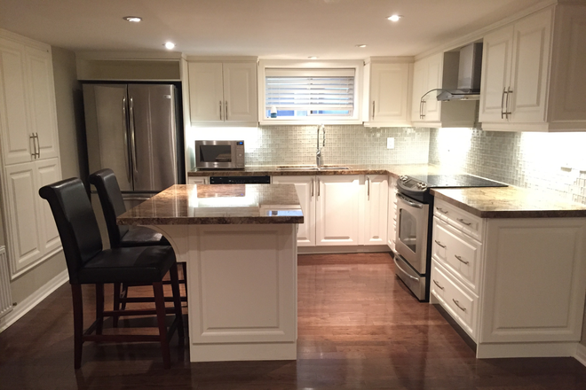 Kitchen - 2 Bedroom Annex Detached Home, Centrally Located, Chef's Kitchen, 925sqft, High End Appl/Utl Incld