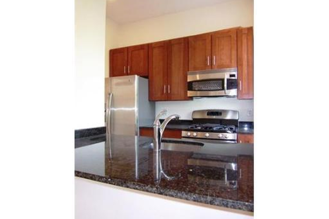 Call call or text Arezou at 617-584-7817 - Amazing 2 bed 1 bath on Fort Ave. w/H&HW inc.!!! NO Broker FEE!!!!!! Apartments