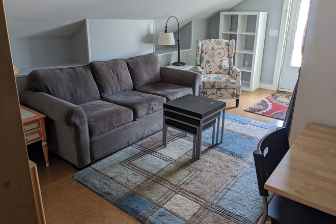 Living room - Furnished and fabulous! One block to Vandy, all utilities included