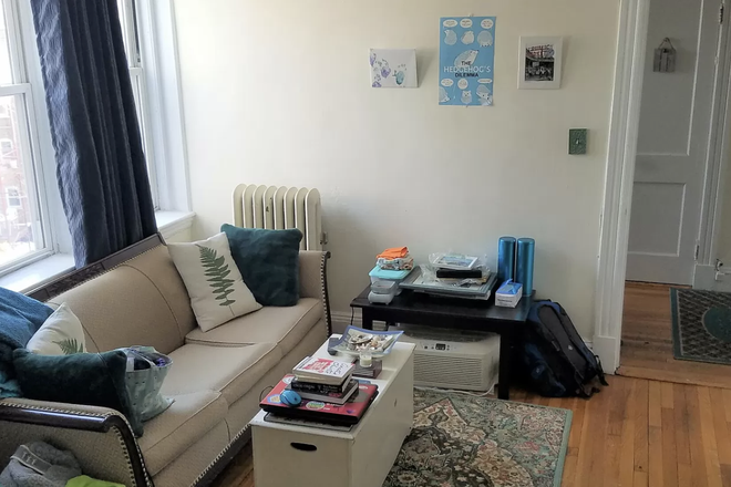 living area - Sunny Allston studio - landlord pays the fee! Apartments