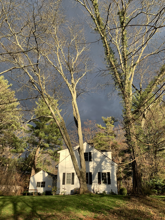 View from backyard - Furnished 2BR house-S. Harrison St-Princeton with catsit
