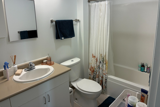 Bathroom - South Campus Commons 7 Apartments