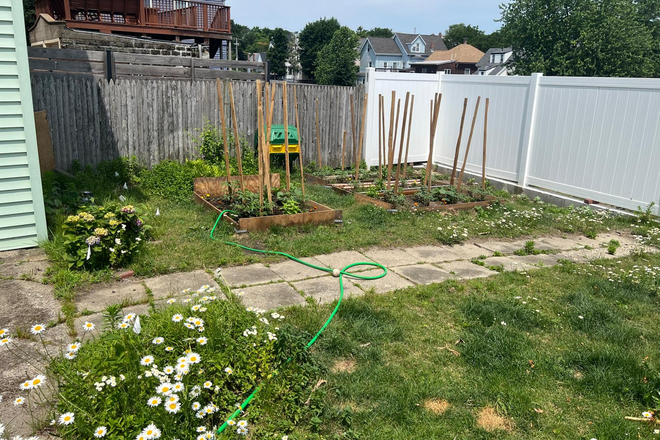 half-backyard - Spacious house in somerville