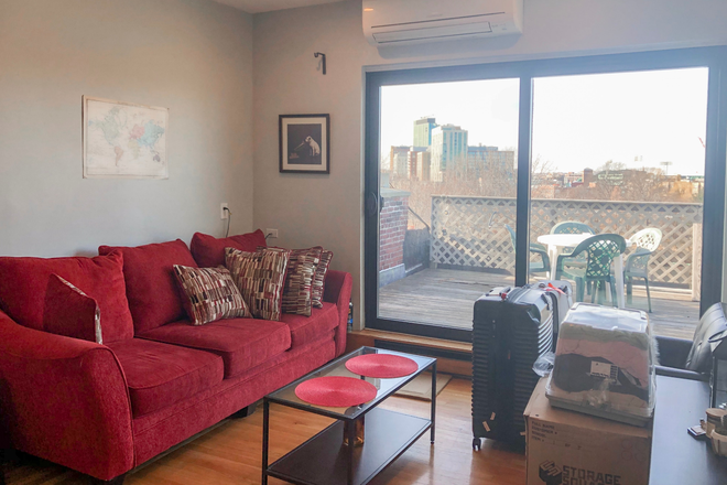 Living Room - Top floor 2 bedroom with large deck overlooking Fenway Condo