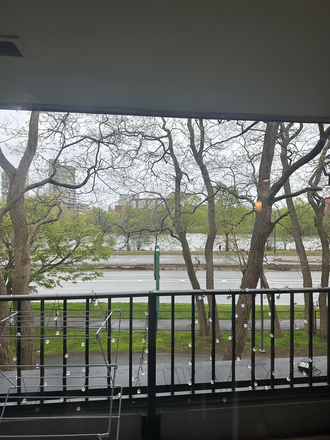 Balcony View - Private Bedroom on Harvard Business School Campus / Soldiers Field Park Apartments